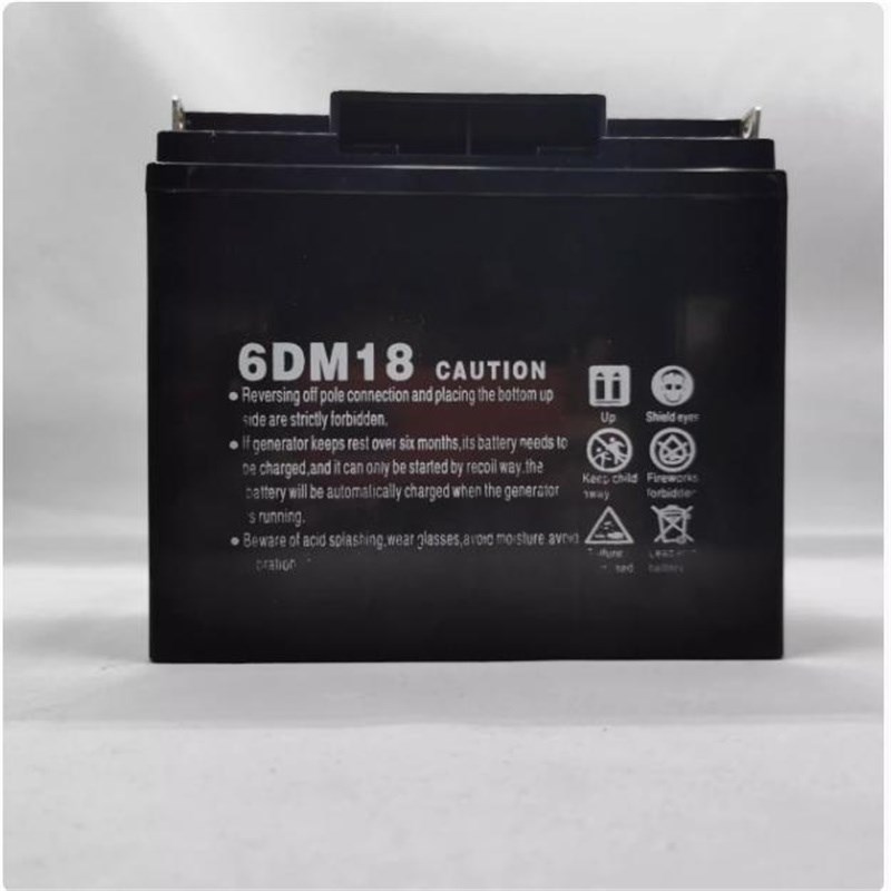6DM18 6DM7 9 6DM10 6DM21蓄电池12V发电机水泵微耕机割草机电瓶