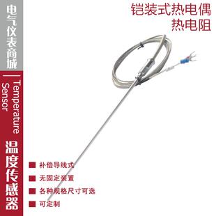 热电偶K型温度传感器探针热电偶测温探头 WRNK 191 192铠装 式
