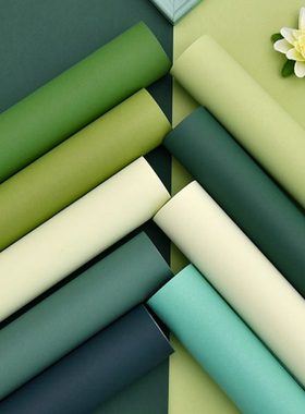 墨绿色电视背景墙壁纸客厅卧室男生房间墙纸2024新款网红墙布壁布