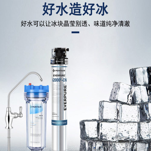 批发爱惠浦I20002净水机 商用餐厅过滤器 制冰机用过滤器