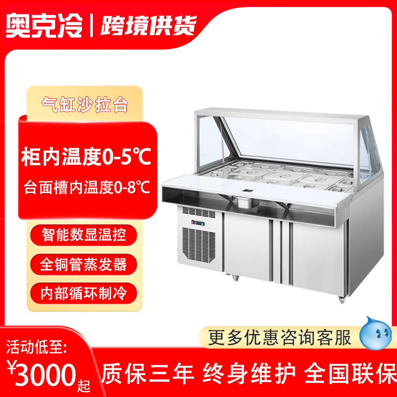 赛百味气缸沙拉柜风冷披萨操作台开槽酱料平台雪柜水果捞冷柜果冻