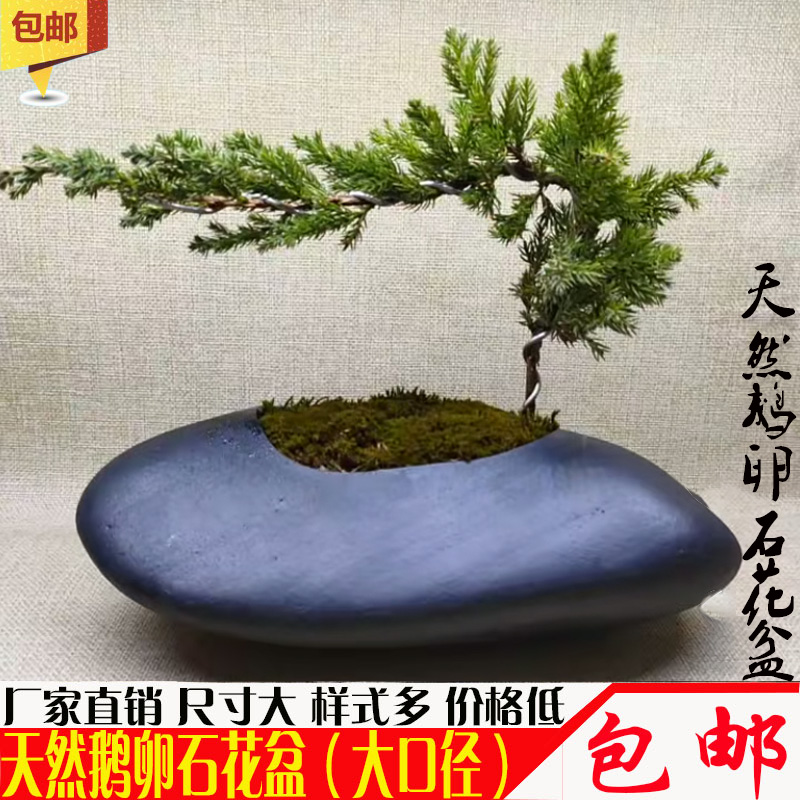 天然鹅卵石花盆鱼缸水培种植创意家庭院摆件盆景装饰大号石头花盆图片