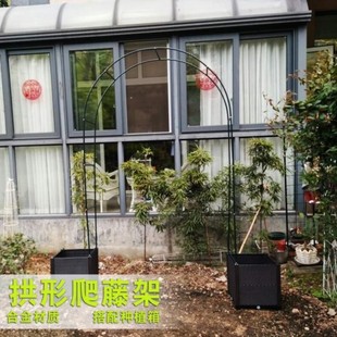 植物爬藤架。园艺拱形绿植花架绿萝造型家用阳台花草拱门铁艺门廊