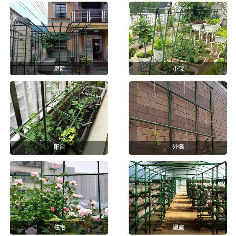 种菜棚架包塑钢管园艺支架庭院豆角黄瓜爬藤架番茄植物支撑杆户外