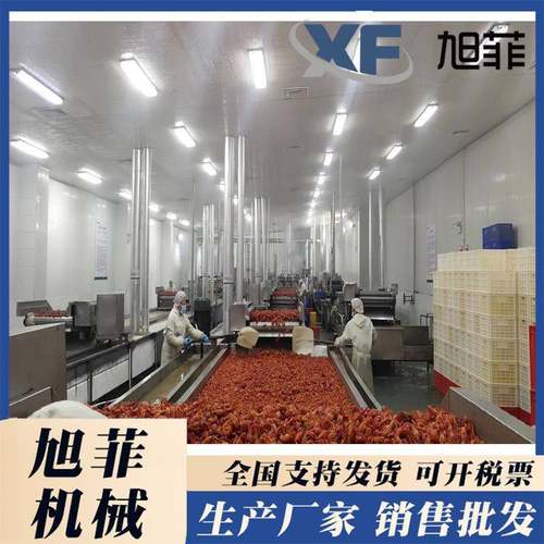 小龙虾清洗机各种虾类鱼类产品气泡清洗吐脏设备商用喷淋气泡