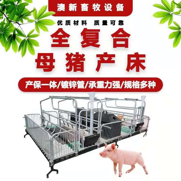 母猪产床产保一体猪用两用双体单体全套一整套老母猪加厚加重产床