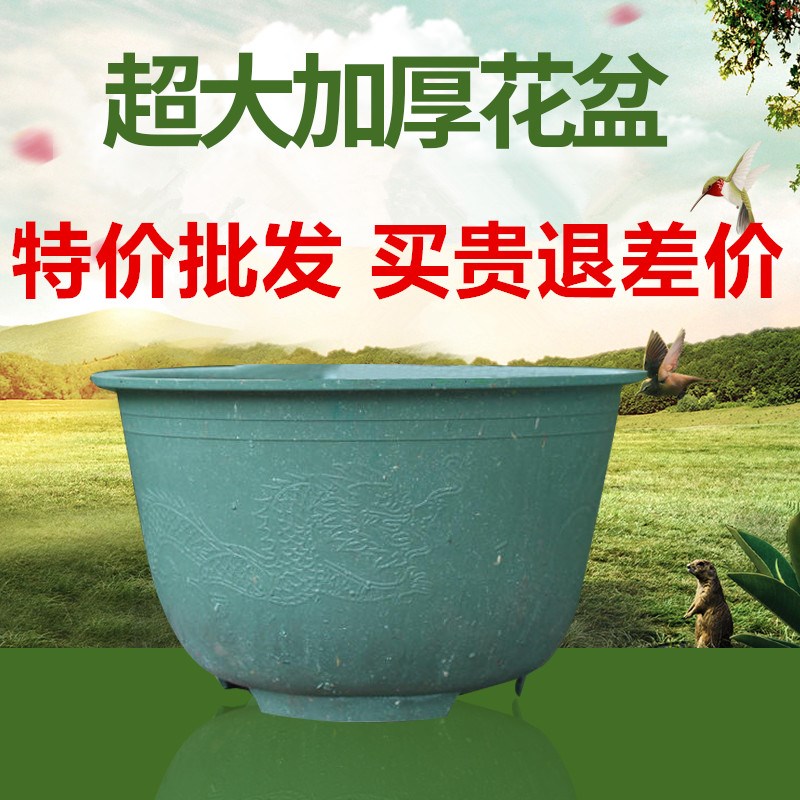 别墅门口栽树的缸形花盆大口浅底花D盆特大庭院欧式龙缸户外大花