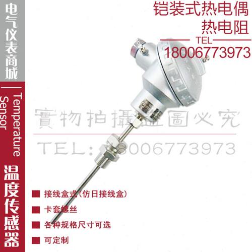 铠装热电偶WZPK-221 223 224 225 226 228铠装热电阻PT100铂电阻