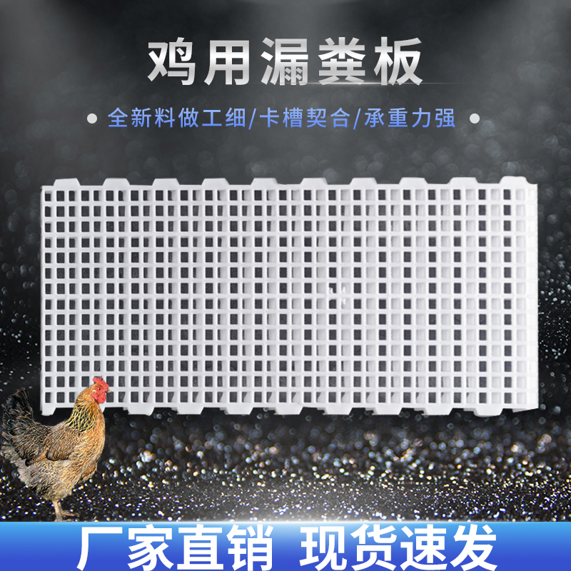 鸡笼漏粪板鸡用鸡粪鸡舍塑料漏粪板小鸡鸭鹅鸽漏粪网养殖专用设备