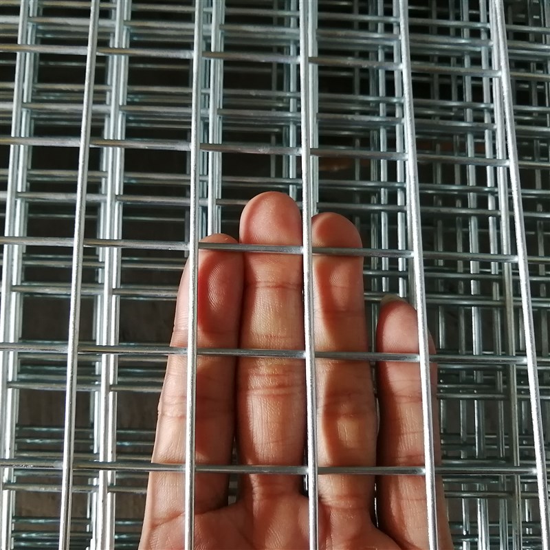 镀锌铁丝网加粗电焊网片围栏网鸽舍狗笼子底网装饰网格养殖隔离网