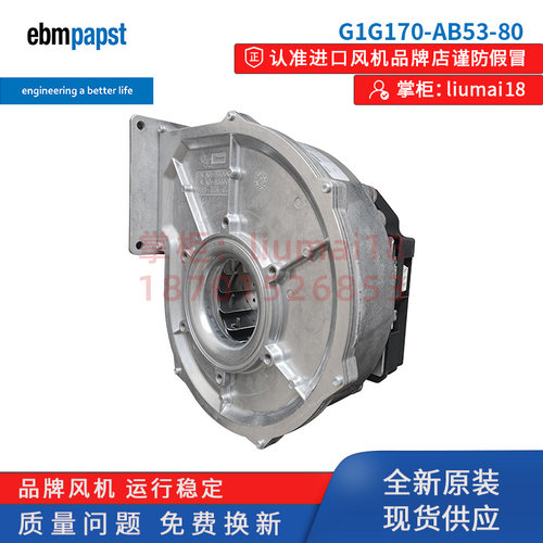 G1G170-AB53-80德国ebmpapst风机