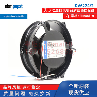 DV6224/2德国ebmpapst风扇