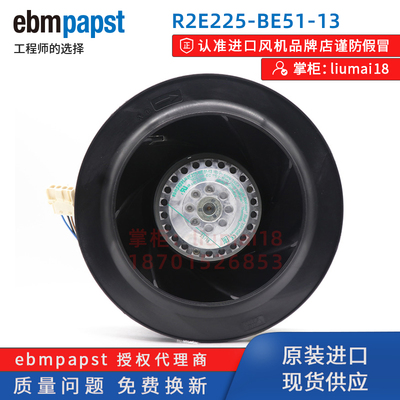 R2E225-BE51-13德国EBMpapst风机