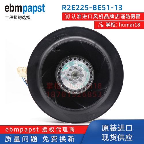 R2E225-BE51-13德国EBMpapst风机