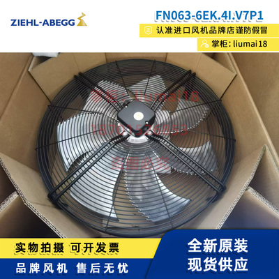 FE063-6EK.4I.V7施乐百风机