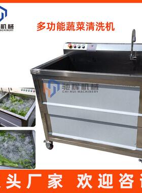 小型电动洗菜机商用不锈钢蔬菜清洗机西红柿清洗机洗果机现货
