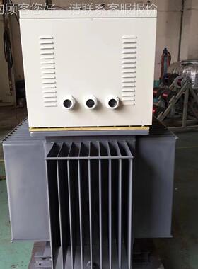 全动油浸式稳自压器出口非洲厂源头TNSJA-401000家KVA380V