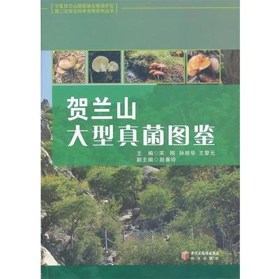 【正版书籍】 贺兰山真菌图鉴 宋刚 ,宋丽华 ,王黎元 编 阳光出版社