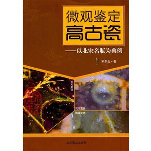 【正版书籍】 微观鉴定高古瓷:以北宋名瓶为典例 宋东生 著 北京燕山出版社