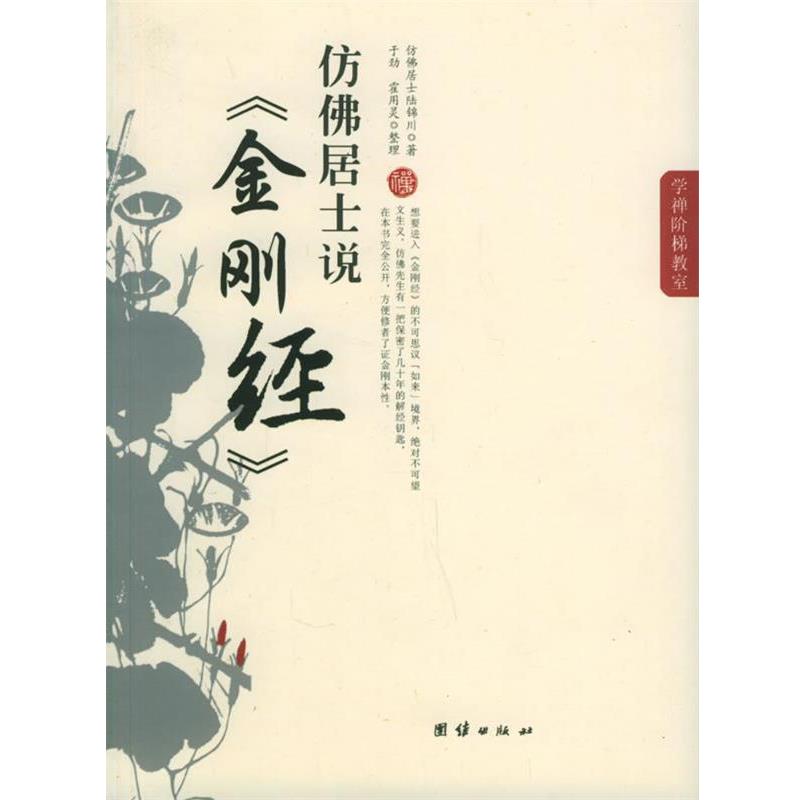 【正版书籍】 仿佛居士说-金刚经 仿佛居于陆锦川 著,于劲,霍用灵 整理 团结出版