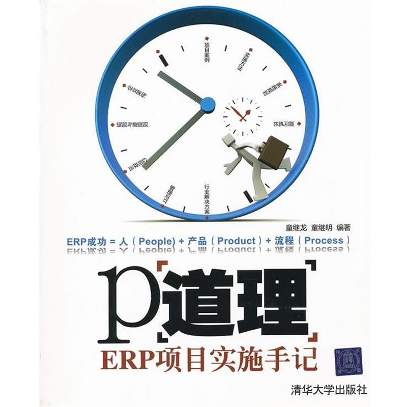 【正版书籍】 P道理:ERP项目实施手记 童继龙,童继明　编著 清华大学出版社