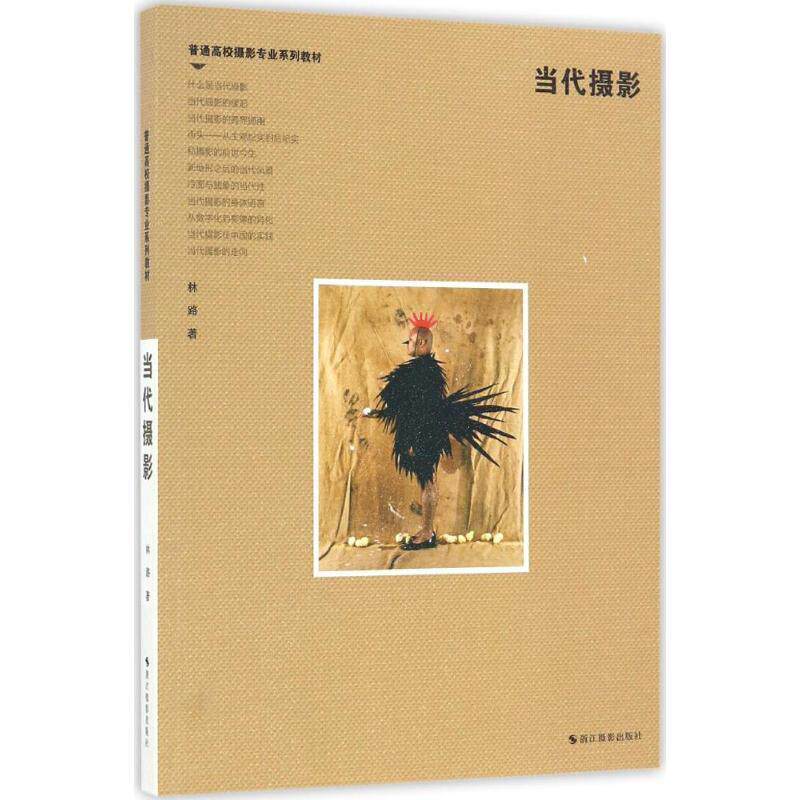 【正版书籍】 普通高校摄影专业系列教材:当代摄影 林路 浙江摄影出版社