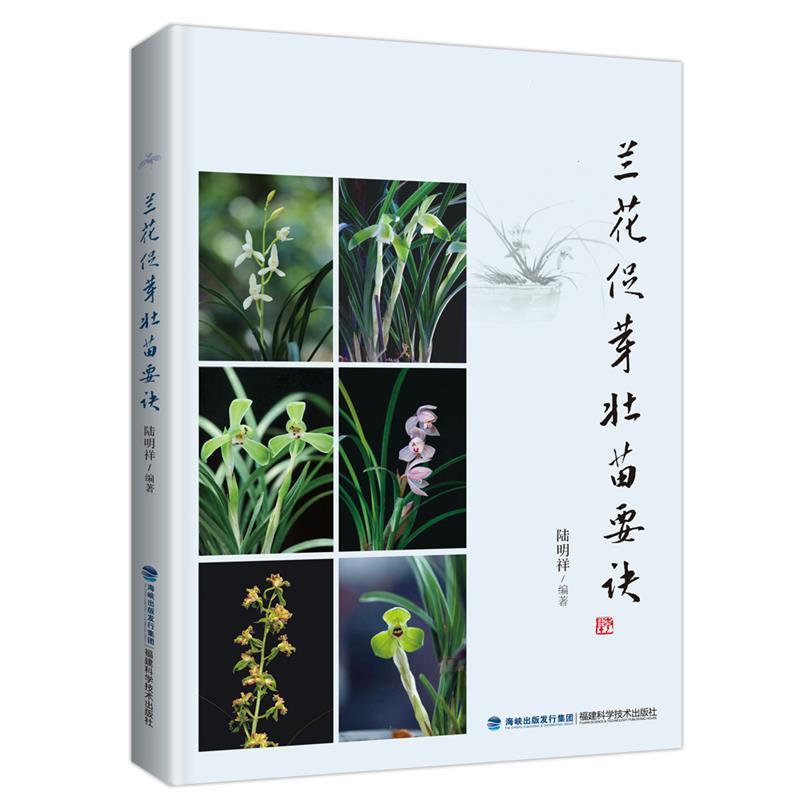 【正版书籍】 兰花促芽壮苗要诀 陆明祥 福建科学技术出版社
