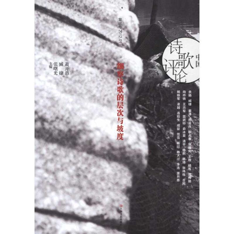 【正版书籍】 中国诗歌评论:细察诗歌的层次与坡度 萧开愚,张曙光,藏棣 编 上海文艺出版社