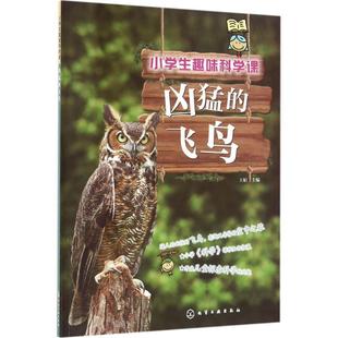 【正版书籍】 小学生趣味科学课:凶猛的飞鸟 王娟 主编 化学工业出版社