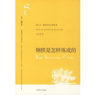 【正版书籍】 钢铁是怎样炼成的 (俄)奥斯特洛夫斯基 著,王志冲 译 上海译文出版社