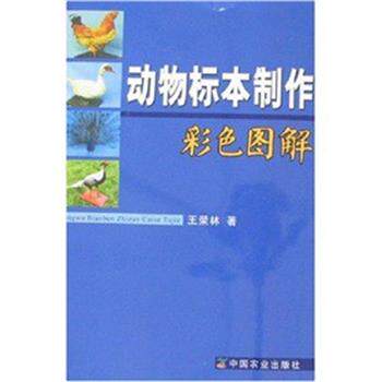 【正版书籍】 动物标本制作彩色图解 王荣林 中国农业出版社