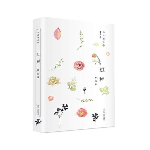 【正版书籍】 小说家的诗:过程 27年坚守，林白新诗首度结集，达致女性写作新境 林白 辽宁人民出版社