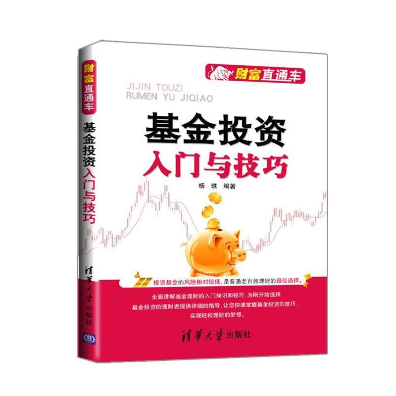 【正版书籍】 基金投资入门与技巧 杨琪 清华大学出版社