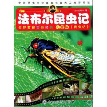 【正版书籍】 法布尔昆虫记 蝉 杨坤 中国大百科全书出版社
