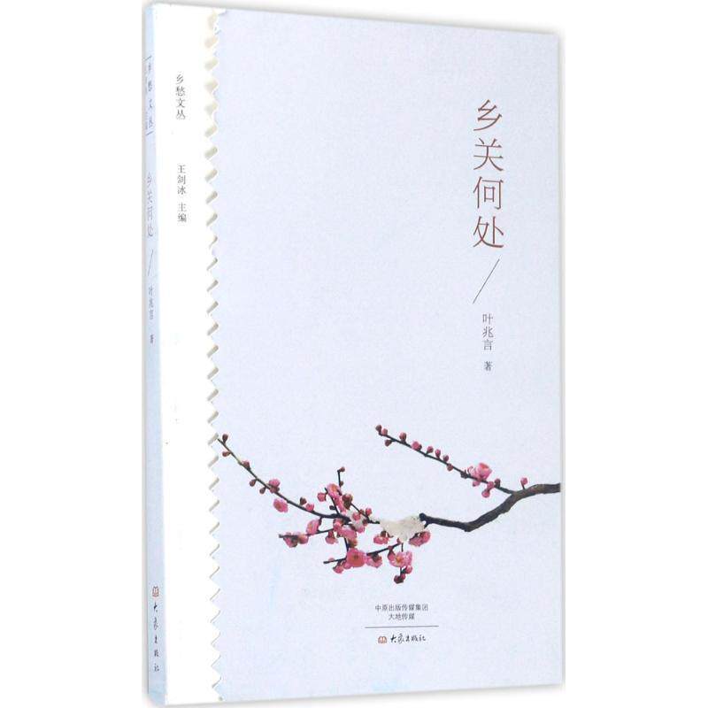 【正版书籍】 乡关何处 叶兆言 大象出版社