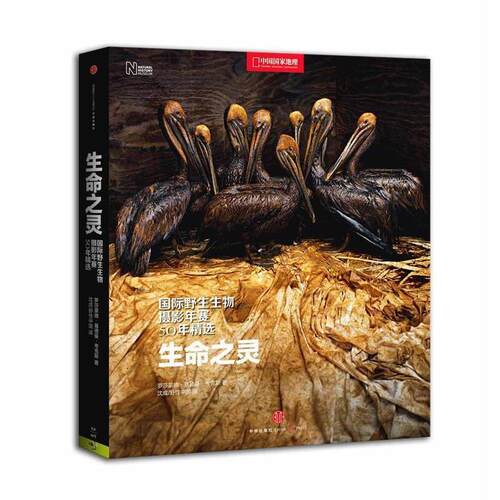 【正版书籍】 生命之灵：国际野生生物摄影年赛50年精选 罗莎蒙德·基德曼·考克斯 中信出版社