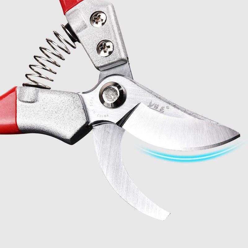 花剪园艺剪刀剪枝家用修剪树枝果树火龙果修枝剪花艺花枝粗枝剪刀