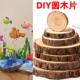 圆木片幼儿园手工diy粘土小鱼底座实木头画年轮圆形木片手绘材料