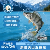 昆仑纪新疆天山五道黑无抗鲈鱼鲜活捕捞急冻锁鲜整条去鳞去内脏