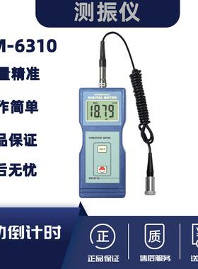 兰泰正品数字测振仪VM6310振动仪测震仪振动分析仪测量仪VM-6310