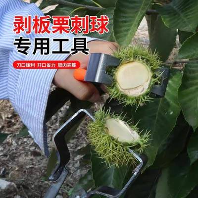 剥板栗刺球神器栗子外壳去皮毛夹脱蓬器开口超省力拨板栗开壳工具
