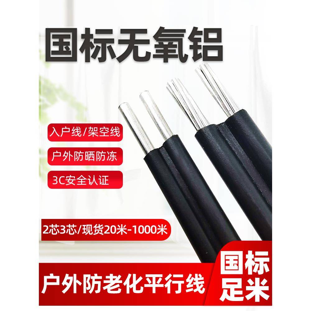 国标户外铝芯4 6 10 16 25平方电缆线2芯铝线家用架空防老化电线