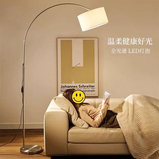 极简客厅落地灯沙发旁高级感钓鱼灯落地台灯设计师氛围颜值简约灯