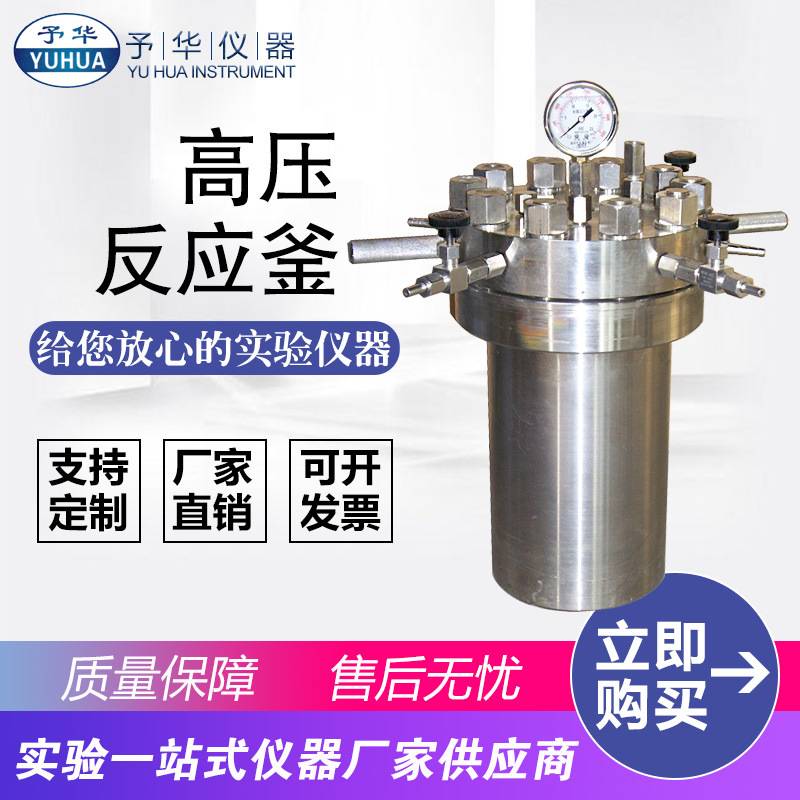 巩义予华 简易型高压反应釜CF-1L 2L 3L 5L 10L20L高温高压消解罐