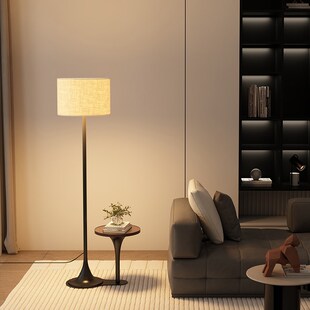 艺术感落地灯客厅2025新款沙发旁边高级感时尚大气卧室氛围边几灯