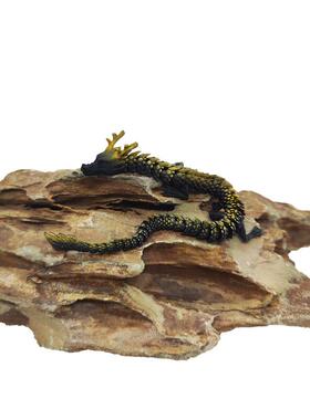 BJD迷你中国龙微缩景观鱼缸造景摆件假山沙盘水族箱装饰d打印