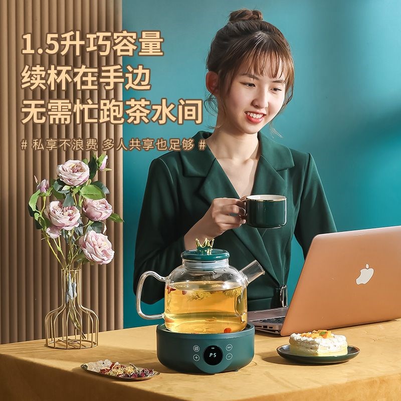 110v伏电压养生壶美国出口台湾加拿大小家电烧水煮茶壶家用多功能