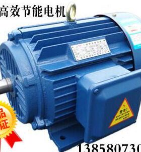 YE3系列三相异步电动机112L-2  132S1-2 132S2-2  160M1-2