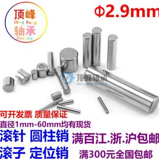 滚针 销子2.9 轴承钢 定位销 圆柱销 销钉