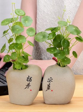 福寿安康石头假山祝福摆t件花瓶客厅玄关酒柜装饰水养植物绿萝花